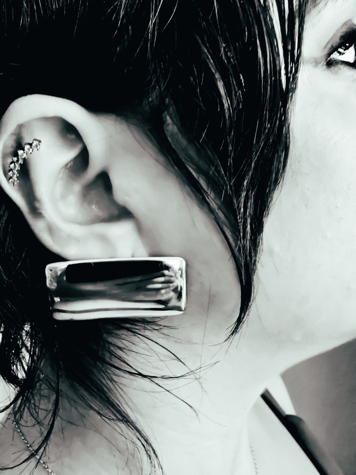 Rectangular earrings