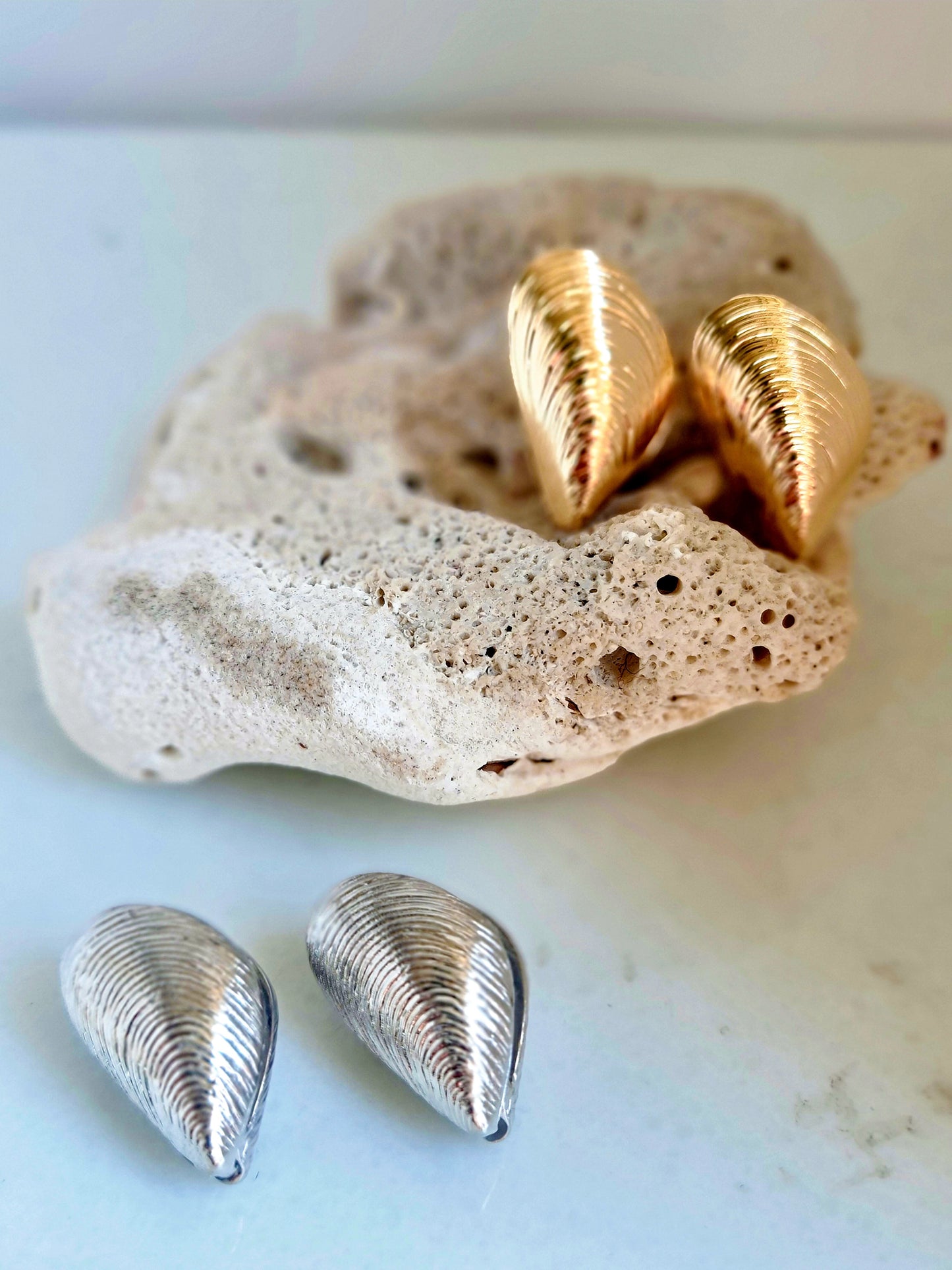 Shells earrings
