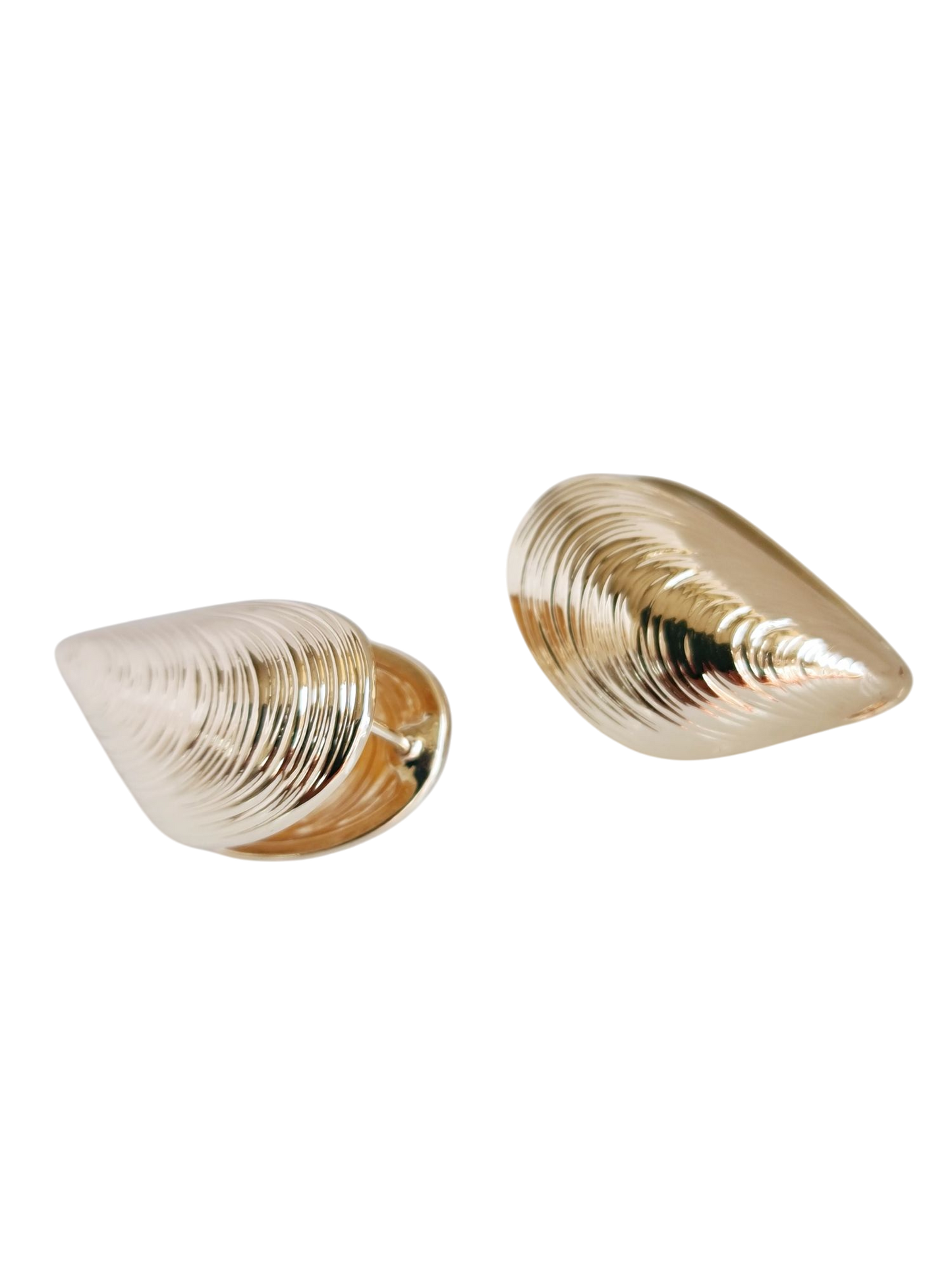 Shells earrings